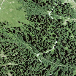 Satellite imagery of Waldibüel, CH