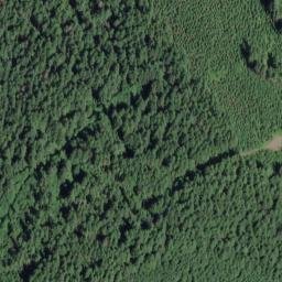 Satellite imagery of Buck Ridge, US