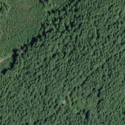 Satellite imagery of Buck Ridge, US