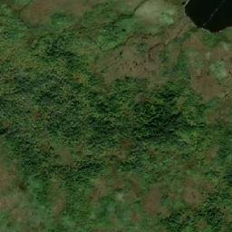 Satellite imagery of Loughlins Hill, CA