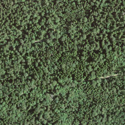 Satellite imagery of |, IT