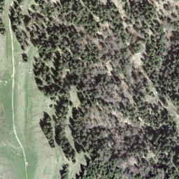 Satellite imagery of Farnli-Esel, CH