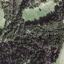Satellite imagery of Grüeblihängst, CH