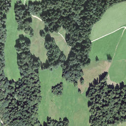 Satellite imagery of Turnberg, CH