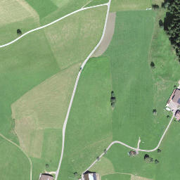 Satellite imagery of Turnberg, CH