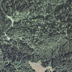 Satellite imagery of Dornegg, CH