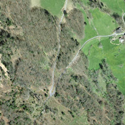 Satellite imagery of Gersauerstock, CH