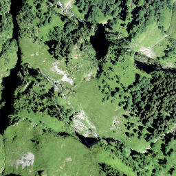 Satellite imagery of Hüttlisgütsch, CH