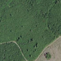 Satellite imagery of Buck Ridge, US