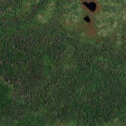 Satellite imagery of Pitchs Lookout, CA
