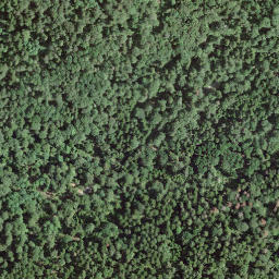 Satellite imagery of |, IT