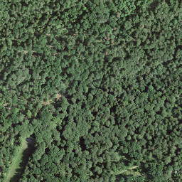 Satellite imagery of 45, IT