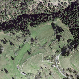 Satellite imagery of Rislauhoger, CH