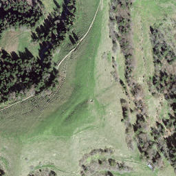 Satellite imagery of Rislauhoger, CH