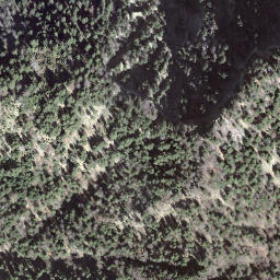 Satellite imagery of Homattgätterli, CH