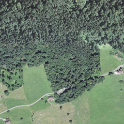 Satellite imagery of Rappersflue, CH