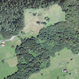 Satellite imagery of Rappersflue, CH
