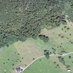 Satellite imagery of Rappersflue, CH