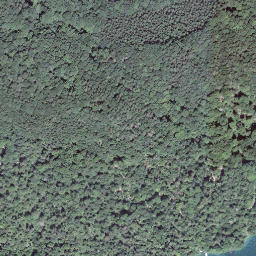 Satellite imagery of Unter Nas, CH