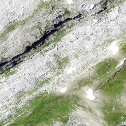 Satellite imagery of Bietstock, CH