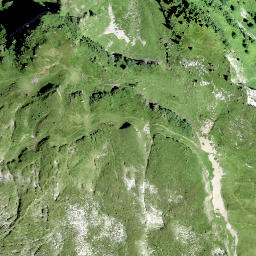 Satellite imagery of Hüttlisgütsch, CH