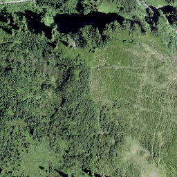 Satellite imagery of Märenegg, CH