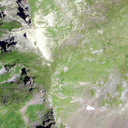 Satellite imagery of Rotrüfner, CH