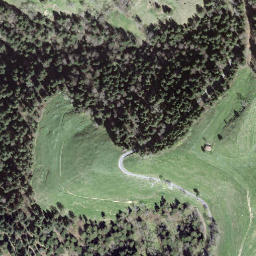 Satellite imagery of Rislauhoger, CH