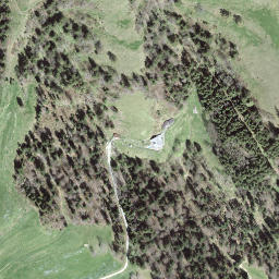 Satellite imagery of Rislauhoger, CH