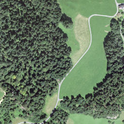 Satellite imagery of Turnberg, CH