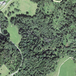Satellite imagery of Turnberg, CH