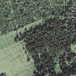 Satellite imagery of Rägeflüeli, CH