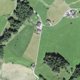 Satellite imagery of Bürgenberg, CH