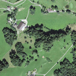 Satellite imagery of Bürgenberg, CH