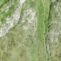 Satellite imagery of Hüttlisgütsch, CH
