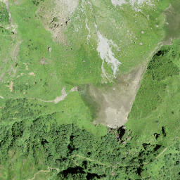 Satellite imagery of Leuggelstock, CH