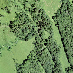 Satellite imagery of Leuggelstock, CH