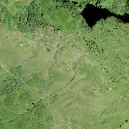 Satellite imagery of Leuggelstock, CH