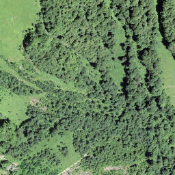 Satellite imagery of Leuggelstock, CH