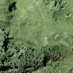 Satellite imagery of Sunnenhörnli, CH