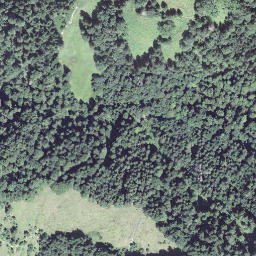 Satellite imagery of Spinnegg, CH