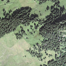 Satellite imagery of Wandflue, CH