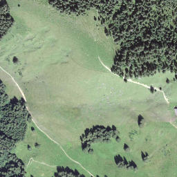 Satellite imagery of Lauelenegg, CH