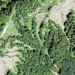 Satellite imagery of Firstspitz, CH