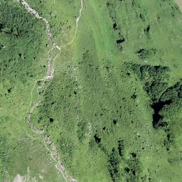 Satellite imagery of Vorder Gassenstock, CH