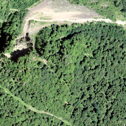 Satellite imagery of Leuggelstock, CH