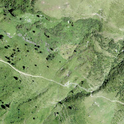 Satellite imagery of Sprüggler, CH