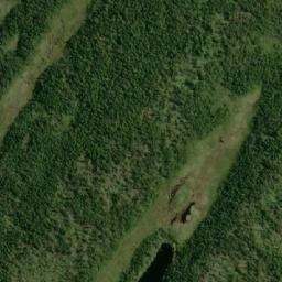 Satellite imagery of Mosquito Point, CA