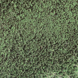 Satellite imagery of BFN079, IT