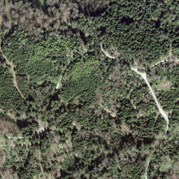 Satellite imagery of Bantiger, CH